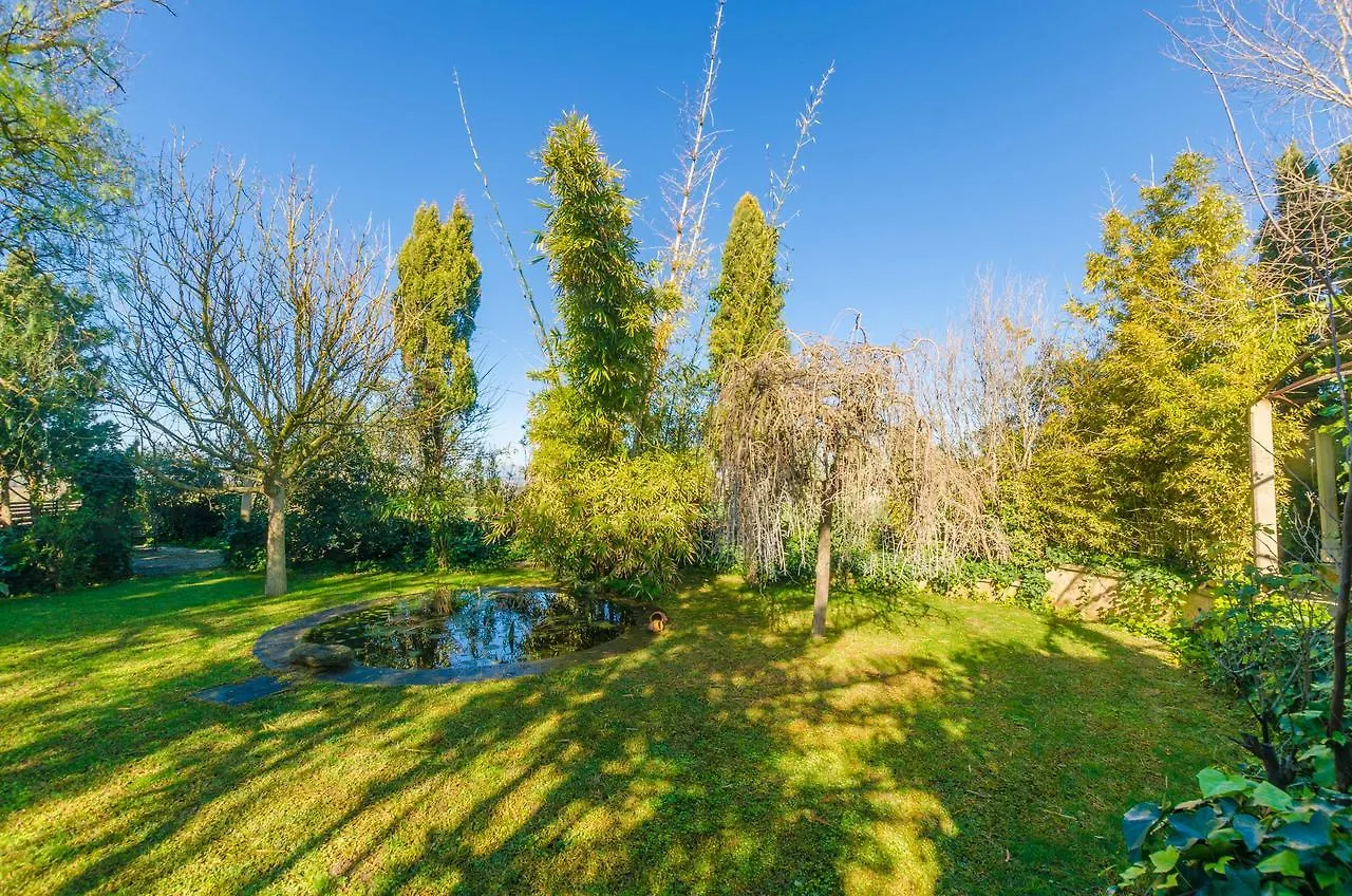 Na Molla Villa Manacor  Spanje